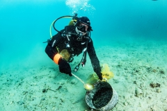 Korak-blize-prirodi_4