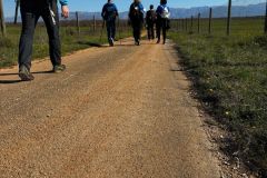 IMG-20250405-WA0013