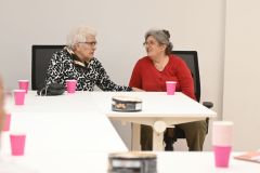 medjugeneracijska-10