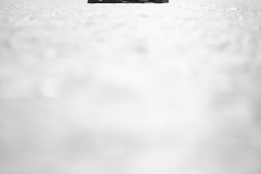 IMG_1117