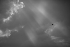 IMG_1198