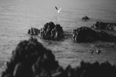 IMG_1282