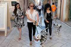Red-Carpet-Dalmatian-Walk-Zadar-2.5.2025-photo-Bojan-Bogdanic-12