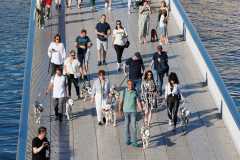 Red-Carpet-Dalmatian-Walk-Zadar-2.5.2025-photo-Bojan-Bogdanic-2