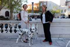 Red-Carpet-Dalmatian-Walk-Zadar-2.5.2025-photo-Bojan-Bogdanic-20