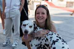 Red-Carpet-Dalmatian-Walk-Zadar-2.5.2025-photo-Bojan-Bogdanic-23