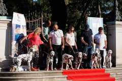 Red-Carpet-Dalmatian-Walk-Zadar-2.5.2025-photo-Bojan-Bogdanic-29
