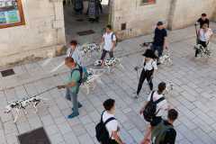 Red-Carpet-Dalmatian-Walk-Zadar-2.5.2025-photo-Bojan-Bogdanic-3