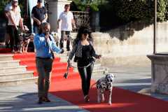 Red-Carpet-Dalmatian-Walk-Zadar-2.5.2025-photo-Bojan-Bogdanic-34