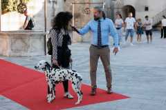 Red-Carpet-Dalmatian-Walk-Zadar-2.5.2025-photo-Bojan-Bogdanic-35