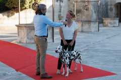 Red-Carpet-Dalmatian-Walk-Zadar-2.5.2025-photo-Bojan-Bogdanic-36