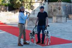 Red-Carpet-Dalmatian-Walk-Zadar-2.5.2025-photo-Bojan-Bogdanic-38
