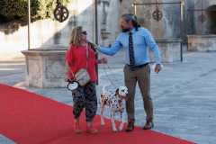 Red-Carpet-Dalmatian-Walk-Zadar-2.5.2025-photo-Bojan-Bogdanic-41
