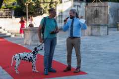 Red-Carpet-Dalmatian-Walk-Zadar-2.5.2025-photo-Bojan-Bogdanic-42