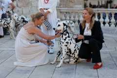 Red-Carpet-Dalmatian-Walk-Zadar-2.5.2025-photo-Bojan-Bogdanic-47