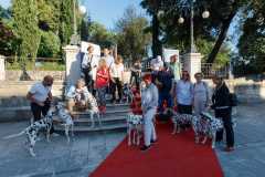 Red-Carpet-Dalmatian-Walk-Zadar-2.5.2025-photo-Bojan-Bogdanic-51