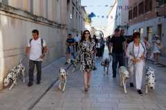Red-Carpet-Dalmatian-Walk-Zadar-2.5.2025-photo-Bojan-Bogdanic-6