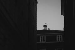 842A1571