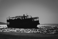 842A8091