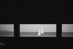 842A3664