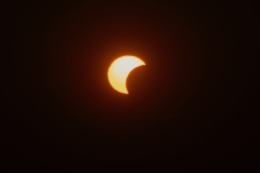 842A6693