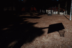 842A8274