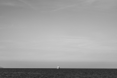 842A8100