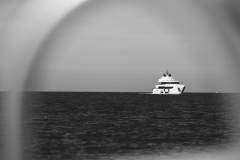 842A8133