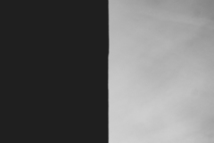 842A6636