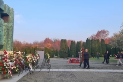 257964478_235884245304505_1902337713610688167_n