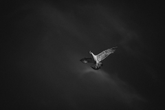 IMG_7032