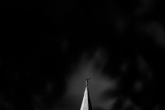 IMG_8334