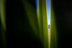 IMG_8618