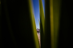 IMG_8626