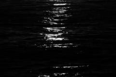 IMG_8633