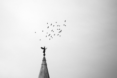 IMG_0370