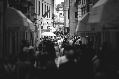 IMG_8434