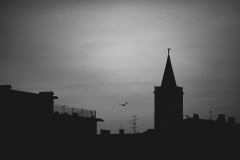 IMG_8894