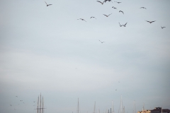 IMG_9761