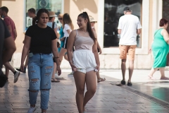 IMG_8519