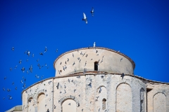 Djir_po_gradu_20_01_23-18-of-67