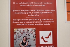 EBTS-SADIONICA-i-PINEL-protiv-femicida-2