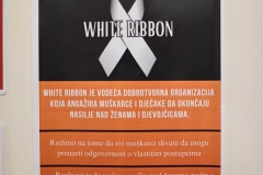 EBTS-SADIONICA-i-PINEL-protiv-femicida-5