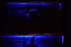 295533336_5496414933802326_3931016929002765614_n