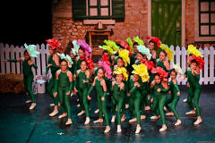 gesta_farma_media_fotke_0113