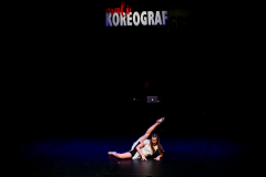 mali_koreograf_resize_0207