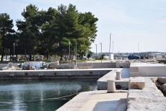 164141838_1623877264473089_8223779639268546327_n