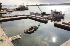 164518017_1623876547806494_8442259645990837839_n