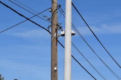 164807555_1623877107806438_2399123970501999736_n