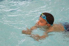jadera_0008
